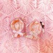 画像1: cafe bunny cape (1)