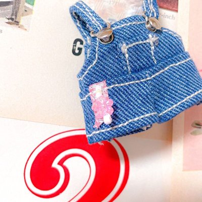 画像1: picnic overall
