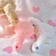 画像4: sugar rabbit beanie (4)