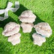 画像3: 《milk tea》lamb doll rompers&bonnet set (3)