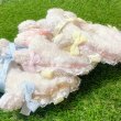画像3: 《milk tea》 lamb doll costume (3)